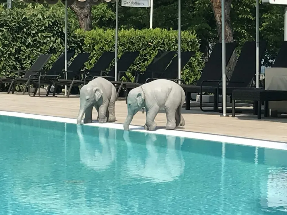 RESIDENCE ALEXANDRA STAY, 