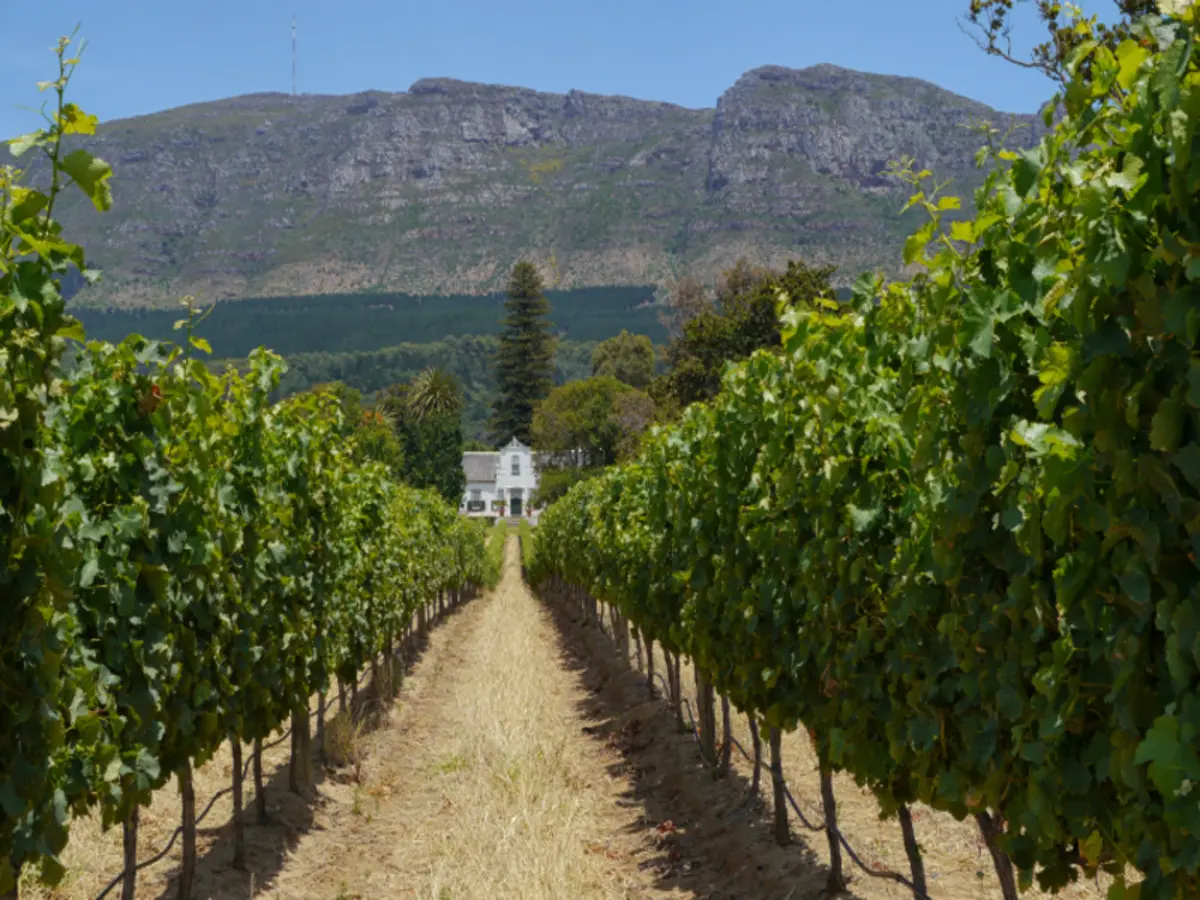 Cape Town, Garden Route and Eastern Cape