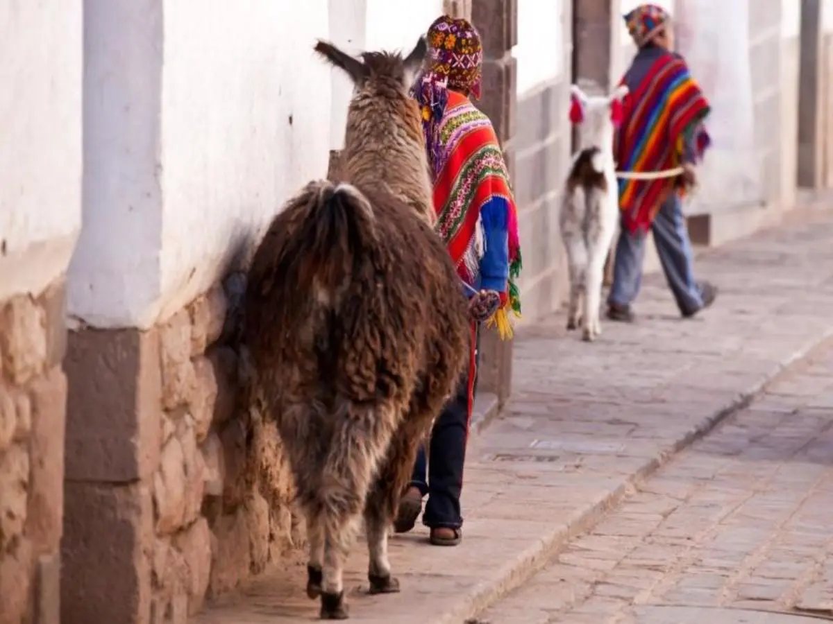Inca Treasures