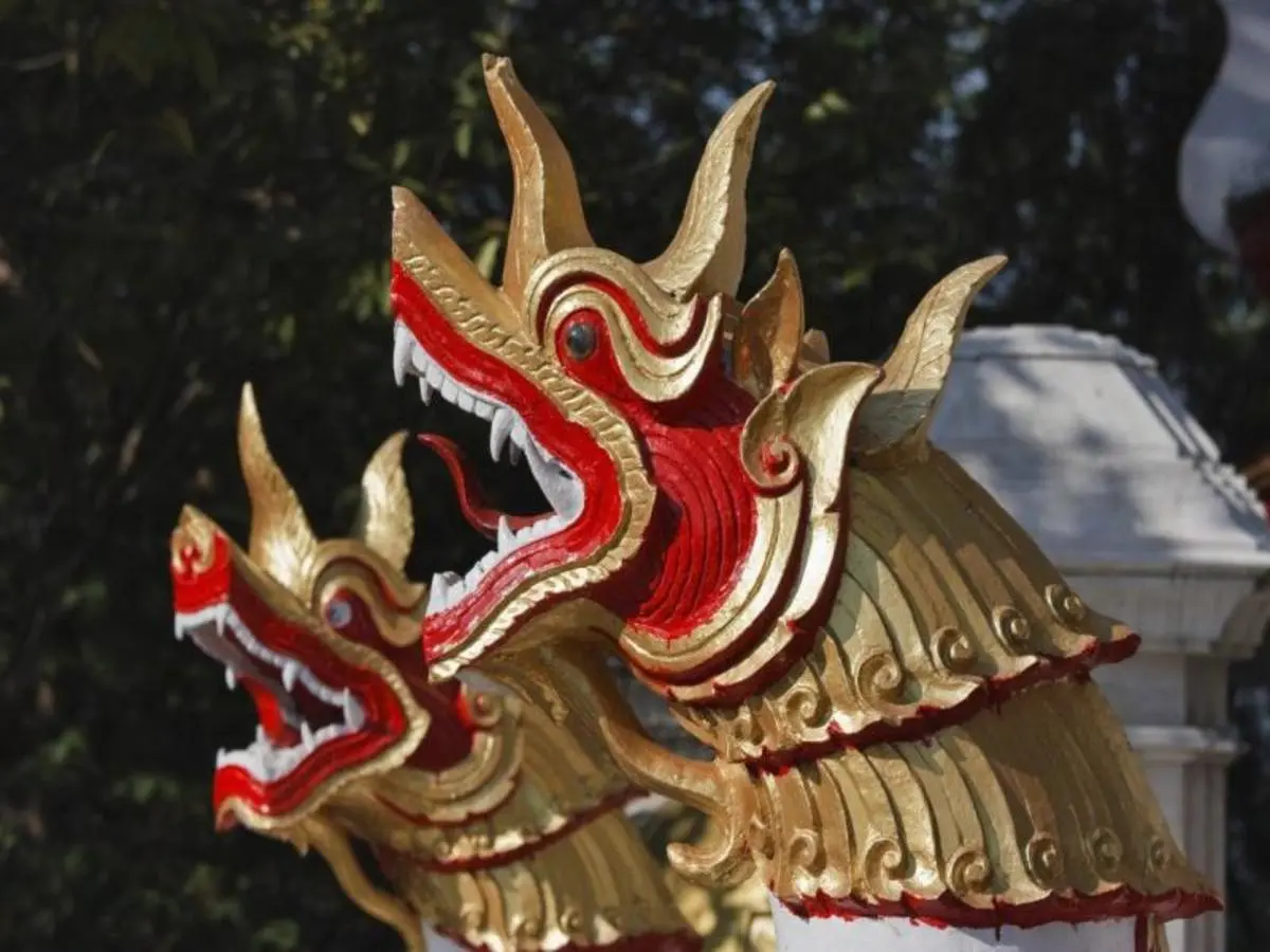 Pacchetto Chiang Mai City