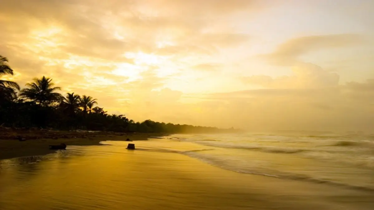 Playas y Naturaleza con Tambor