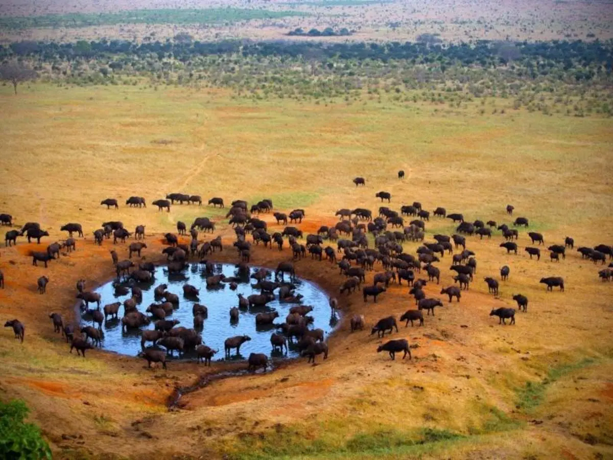 Kilimanjaro to Mombasa, Private Tour