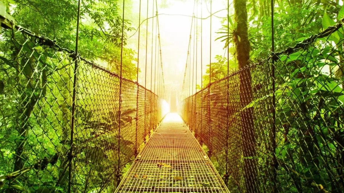 Into the Wild: A Costa Rican Escape, Self-drive