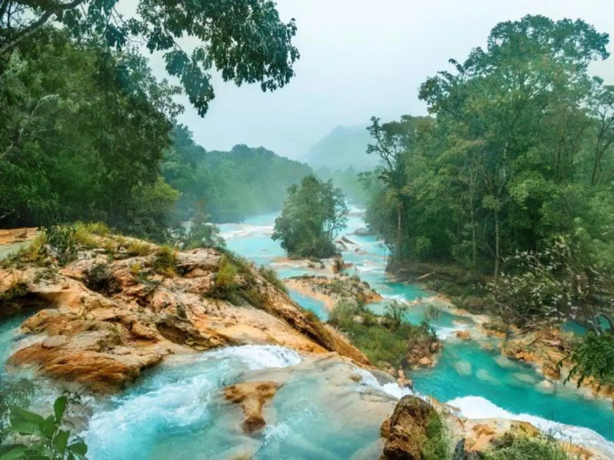 Chiapas Experience