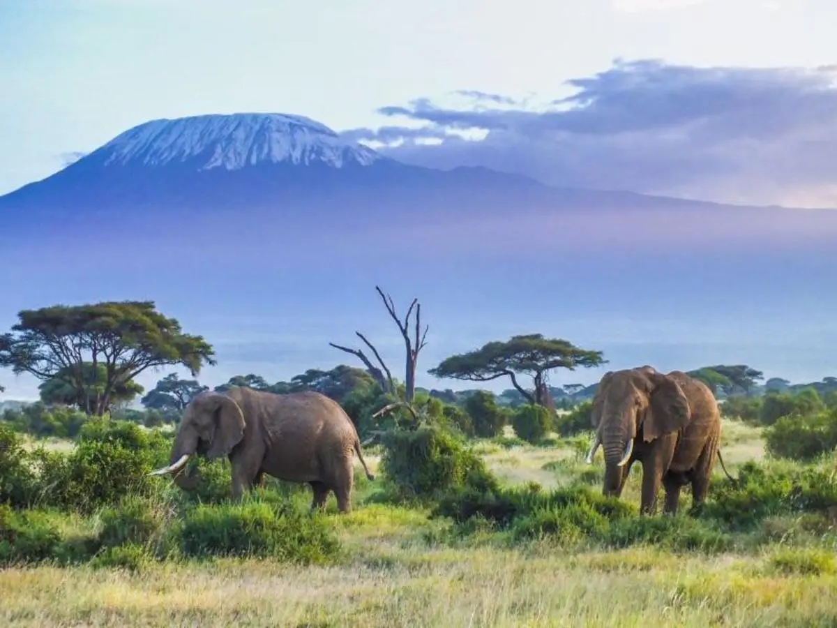 Kenya Clásica, Sopa Lodges