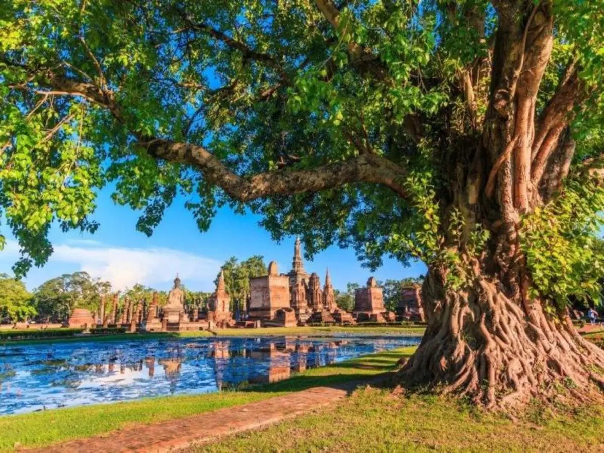 OFFERTA LAST MINUTE — Sentieri e gemme del Siam, tour per piccoli gruppi (guida in lingua italiana)