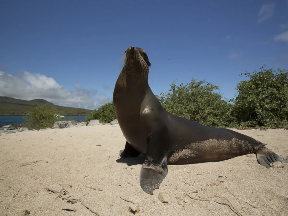 6-Day Galápagos Escape: Volcano Trails & Wildlife Encounters