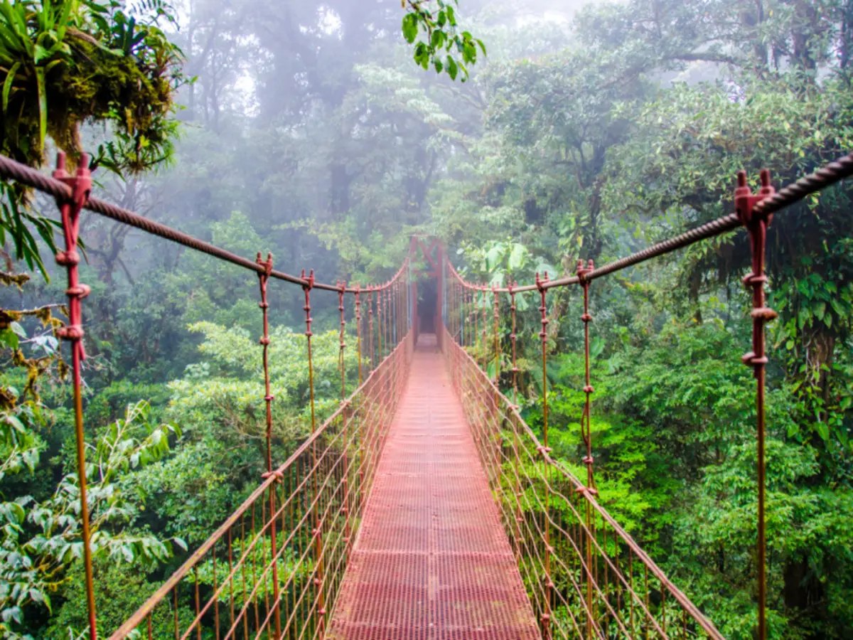 Costa Rica Exótica