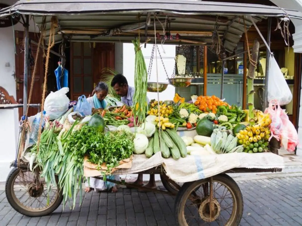 Sri Lanka, La Isla Encantada, guía español