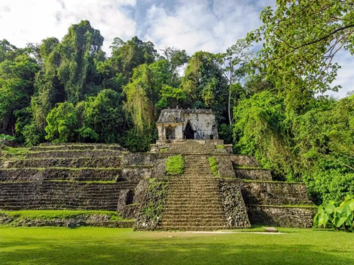 Chiapas Experience