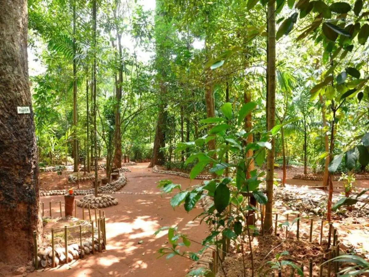 Sri Lanka, La Isla Encantada, guía español