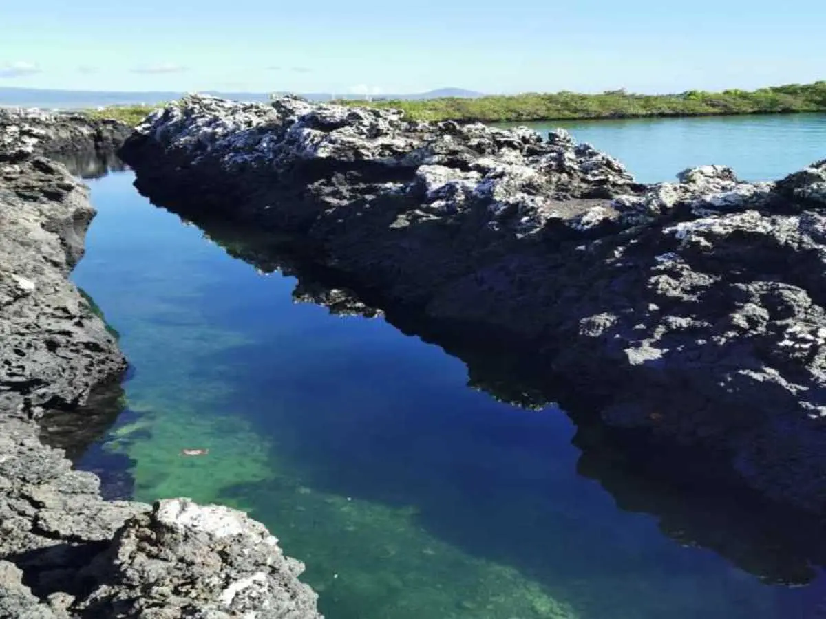 6-Day Galápagos Escape: Volcano Trails & Wildlife Encounters