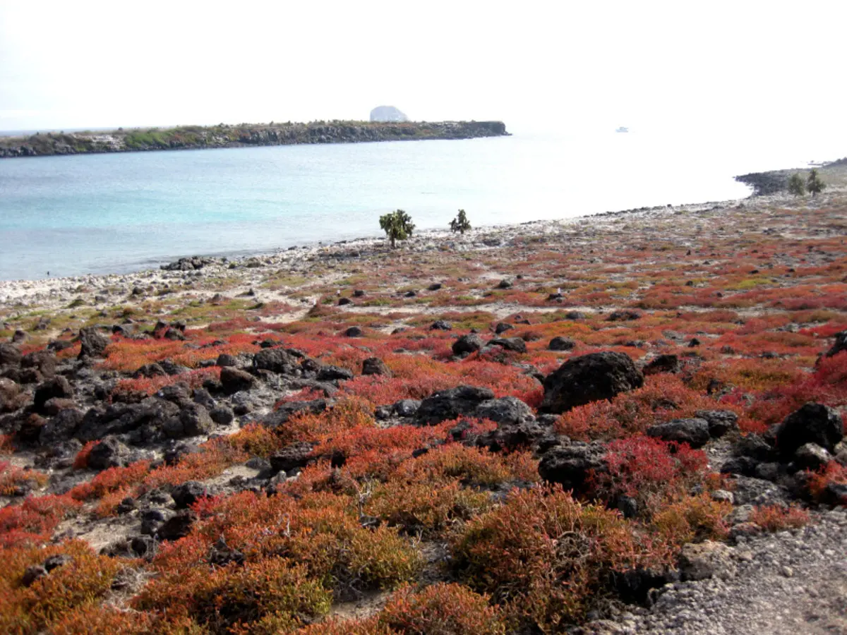 6-Day Galápagos Escape: Volcano Trails & Wildlife Encounters