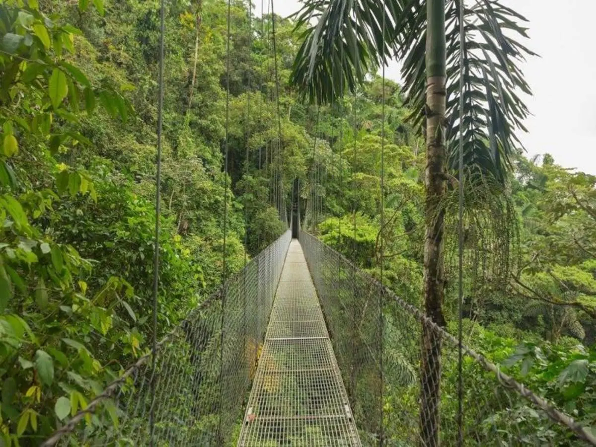 Lo mejor de Costa Rica, Conducción por cuenta propia