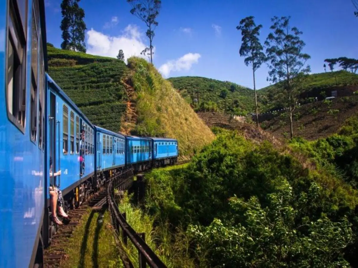 All in One Sri Lanka