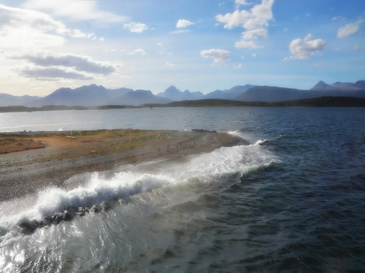 5-Day Ushuaia Penguin Season Tour (from October to March)