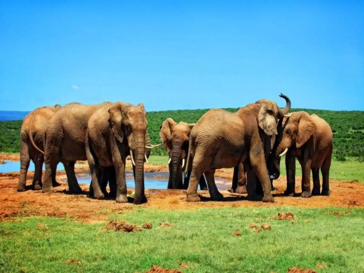 Kenya Clásica, Sopa Lodges