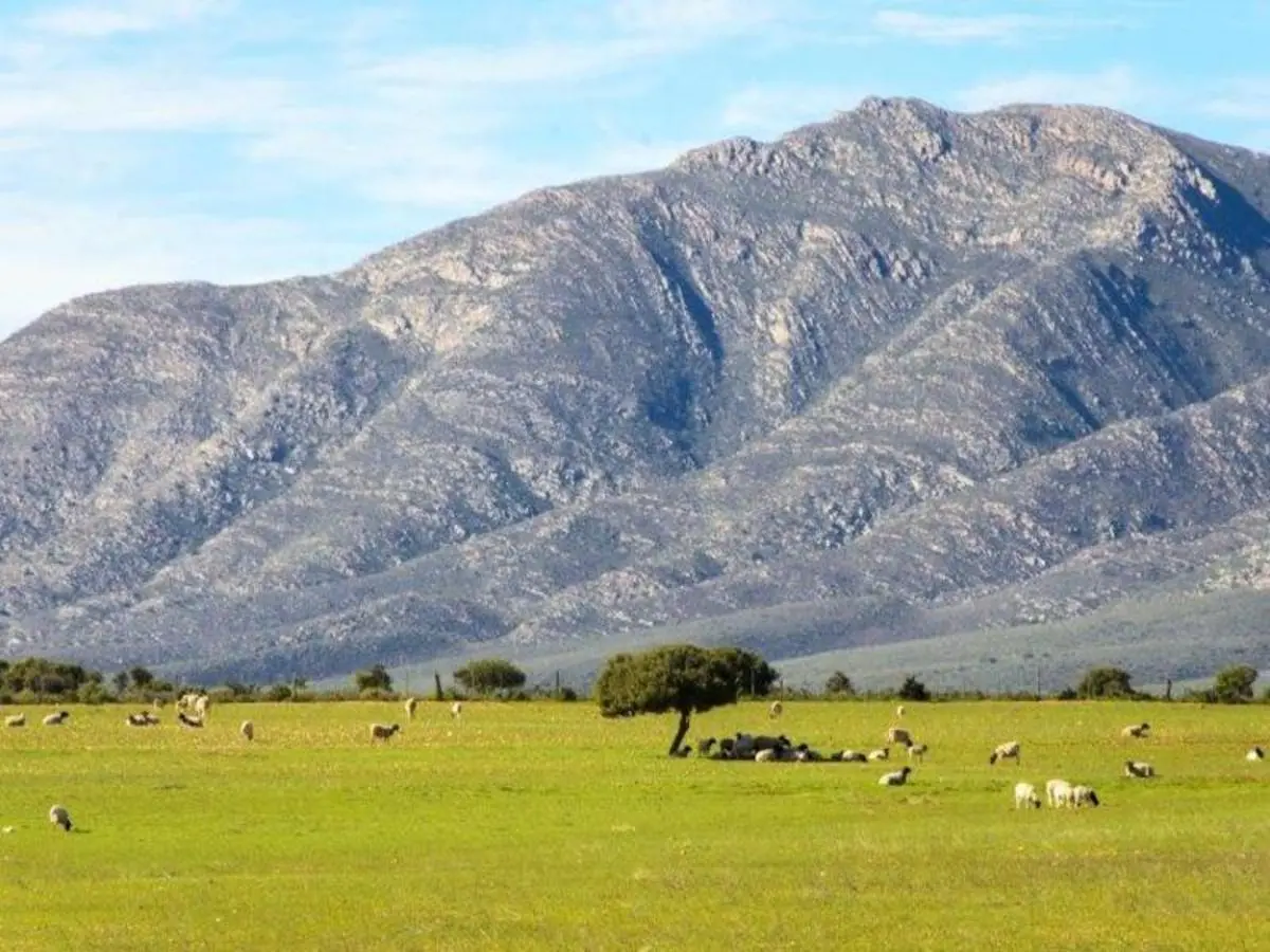 Cape Town, Garden Route and Eastern Cape