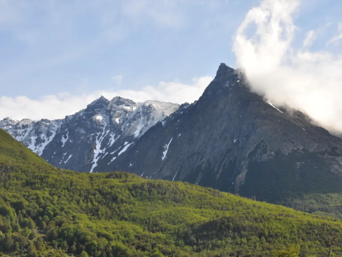 5-Day Ushuaia Penguin Season Tour (from October to March)