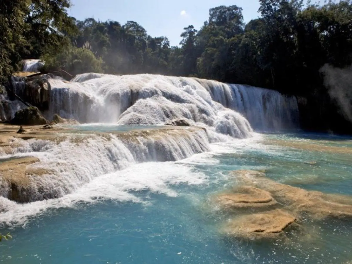 Chiapas Experience