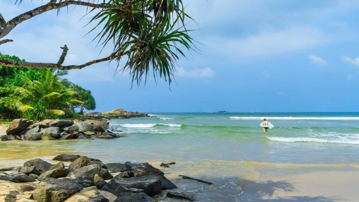 Southern Coast Beach Tour