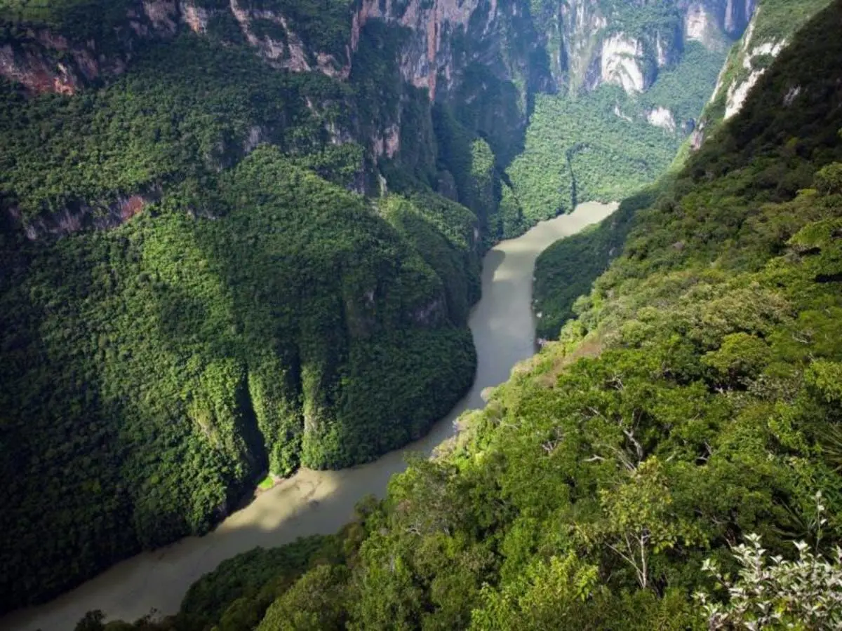 Chiapas Experience