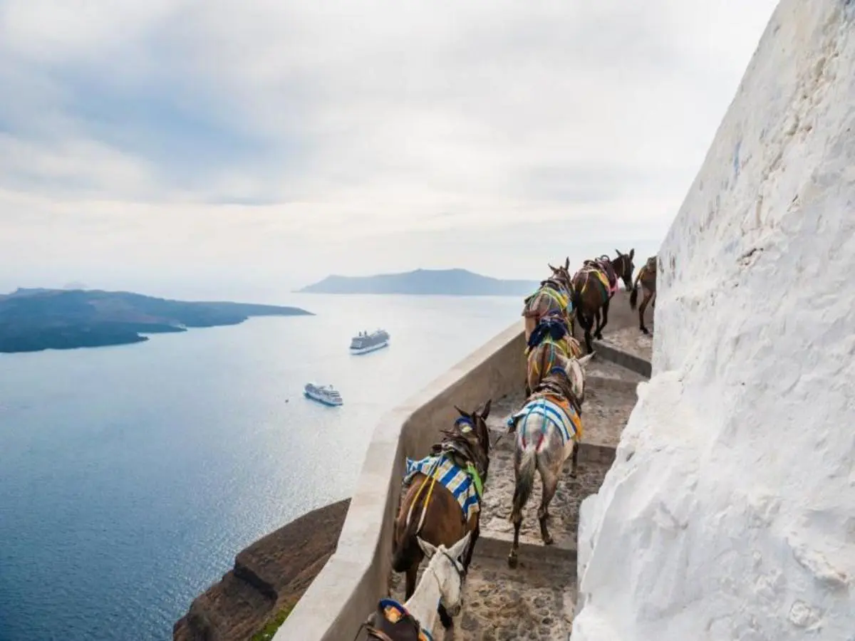 Excursion d'île en île : Athènes, Mykonos, Santorin