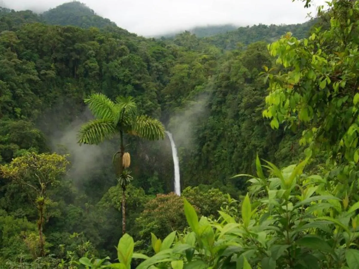 Oferta Flash – Pura Vida: Aventura por carretera, Conducción por cuenta propia