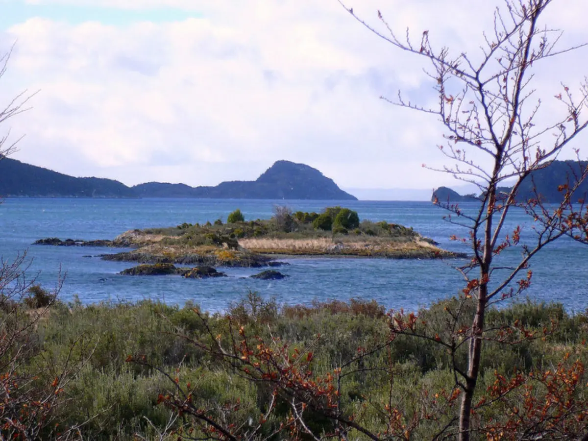 5-Day Ushuaia Penguin Season Tour (from October to March)