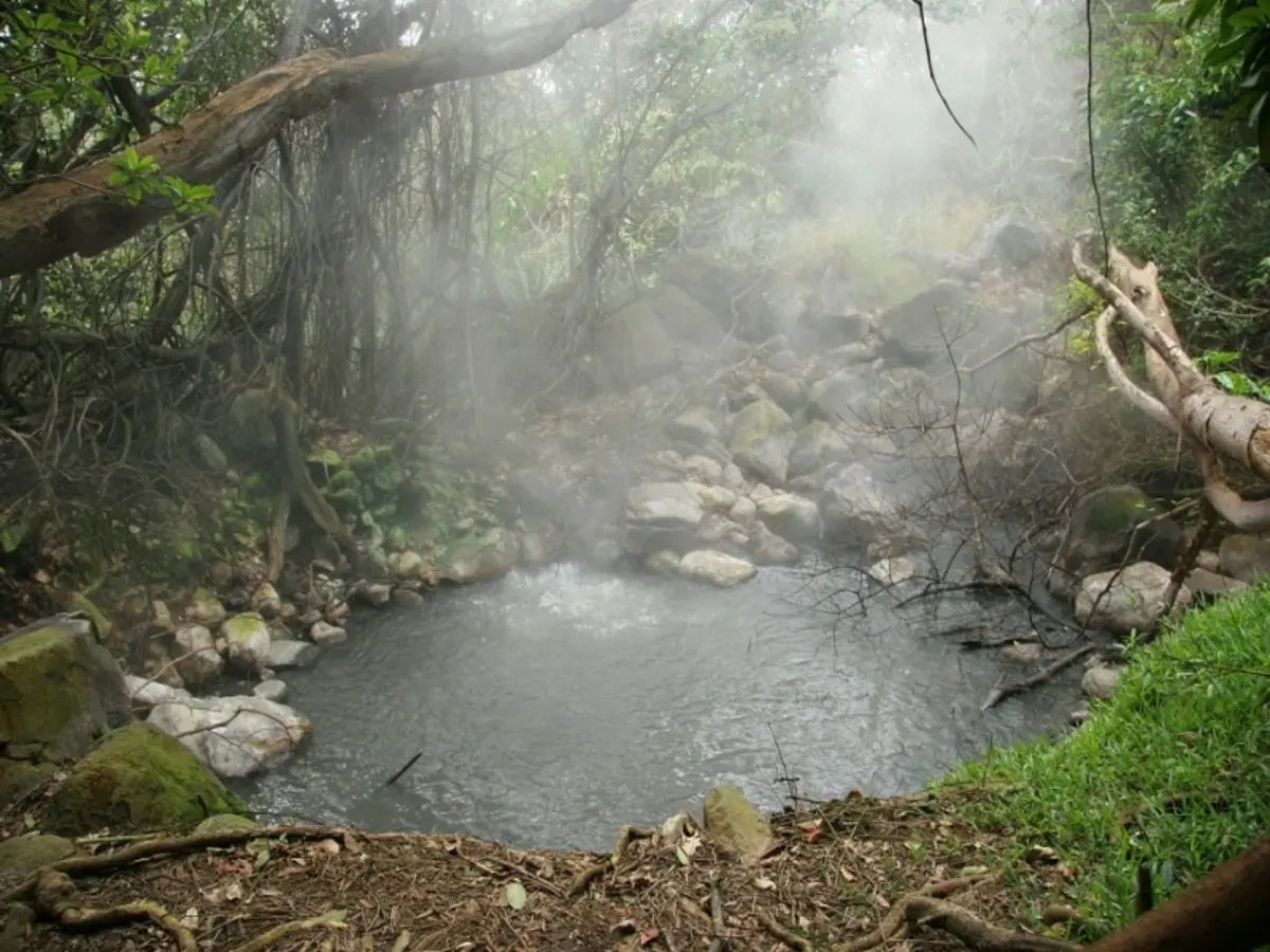 Into the Wild: A Costa Rican Escape, Self-drive