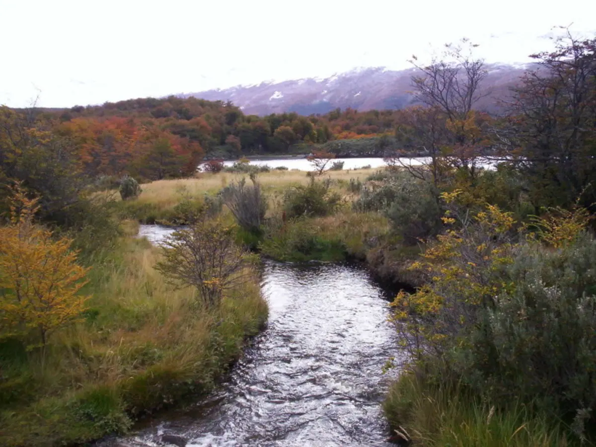 Aventura suave de 6 días en Ushuaia