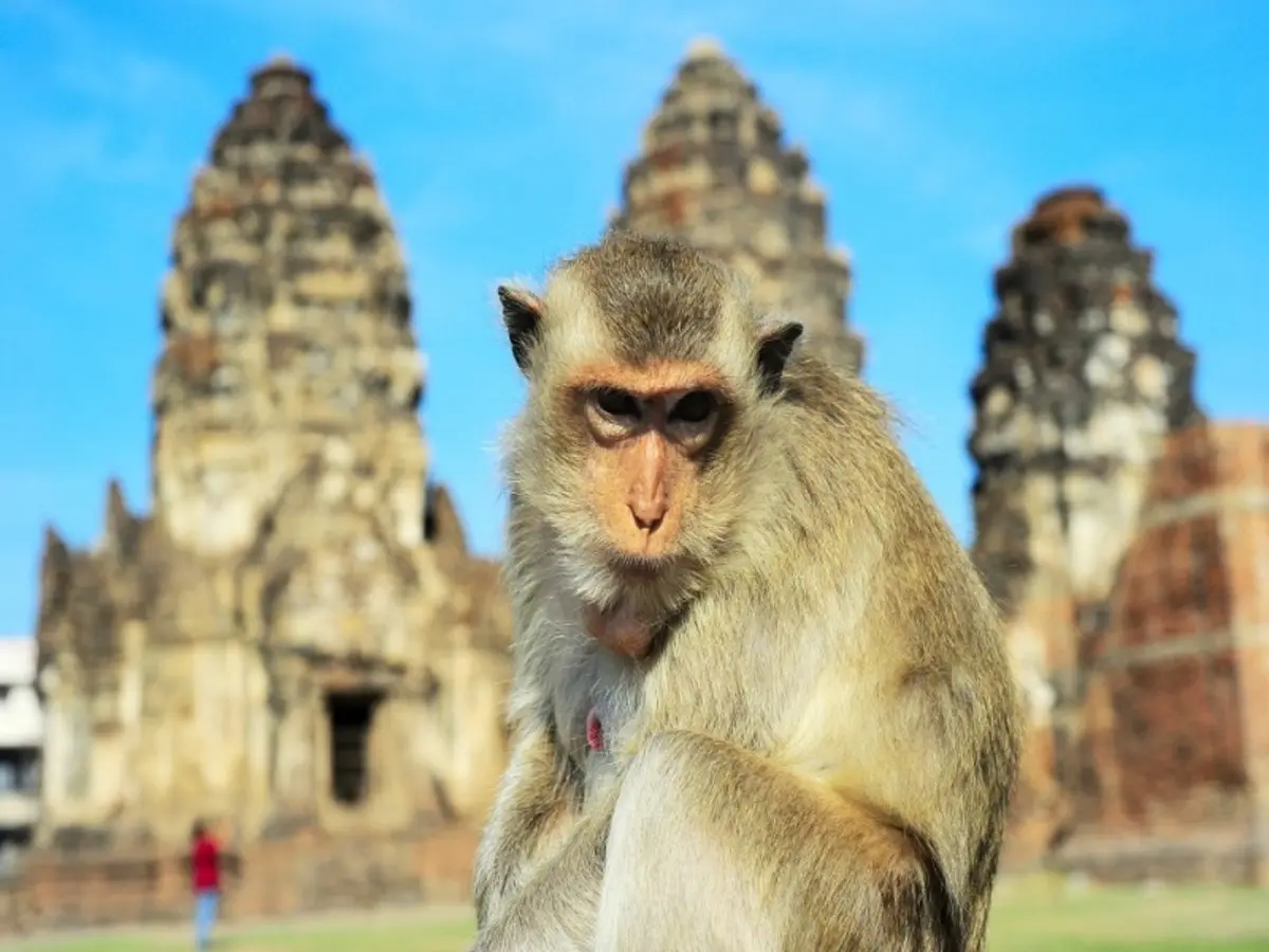 North Isaan and the Mekong, Small Group Tour