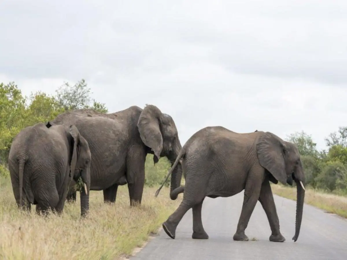 Cape Town, Garden Route and Eastern Cape