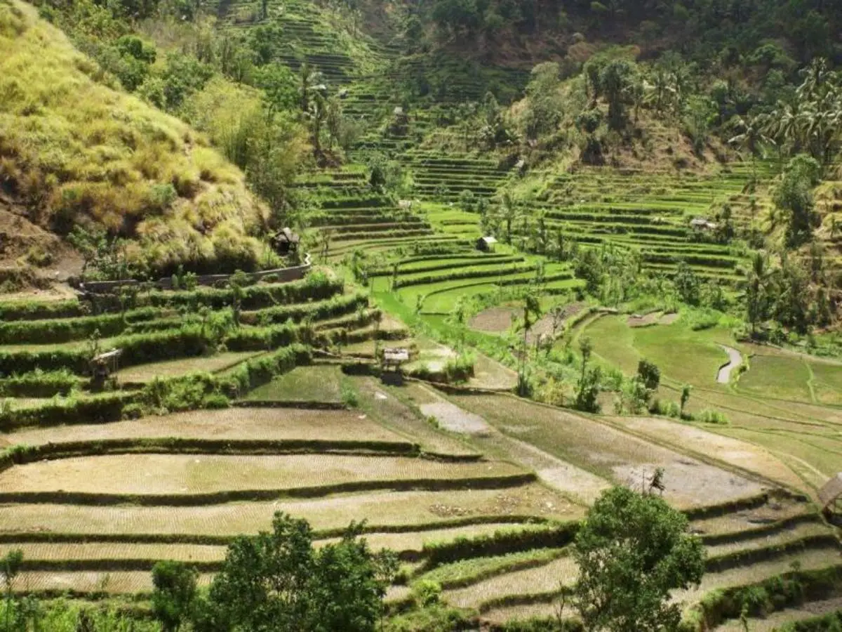 Pure of Bali, Private Tour