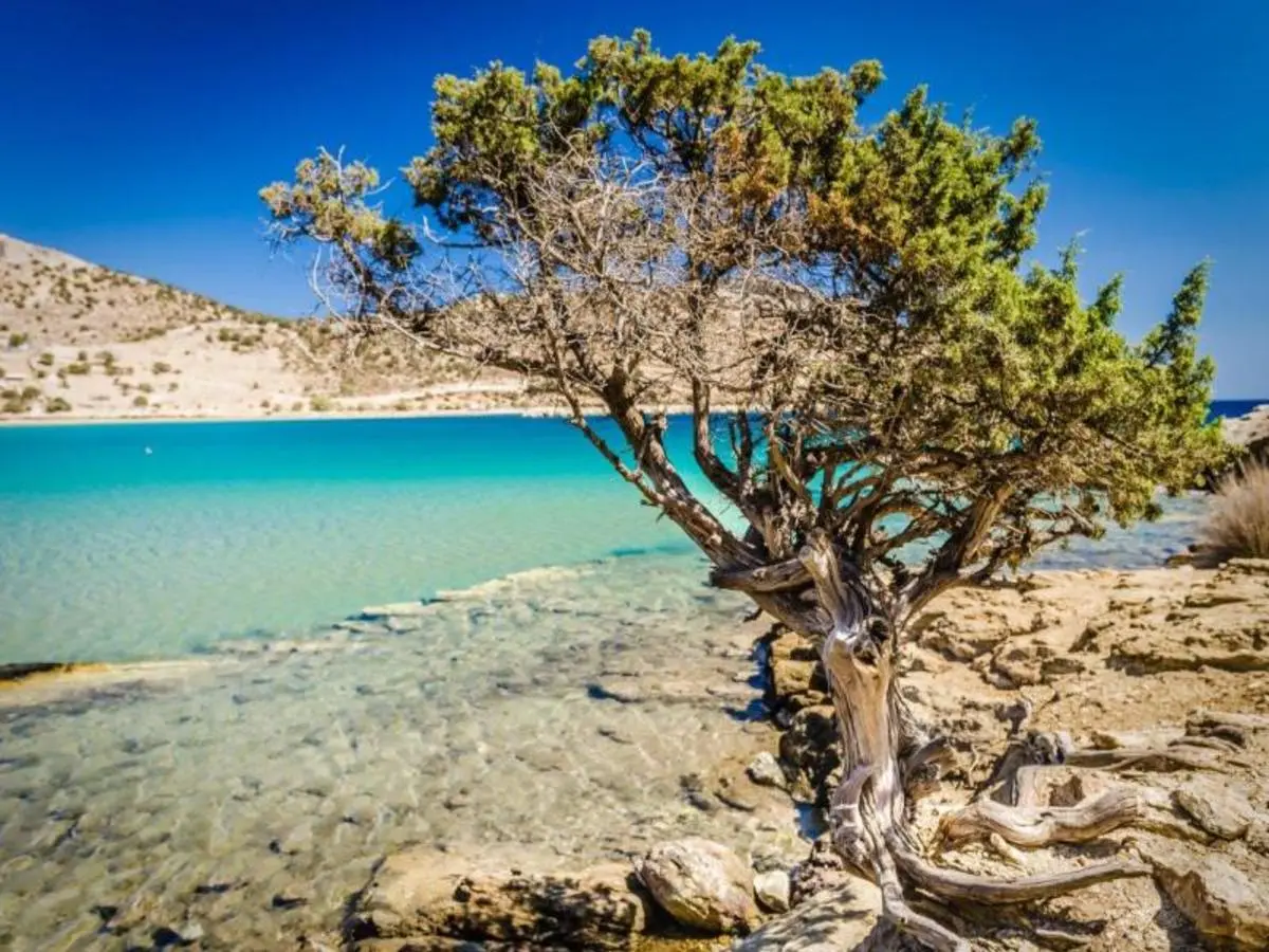 Excursion d'île en île - À la découverte des îles grecques : Paros, Naxos et Santorin