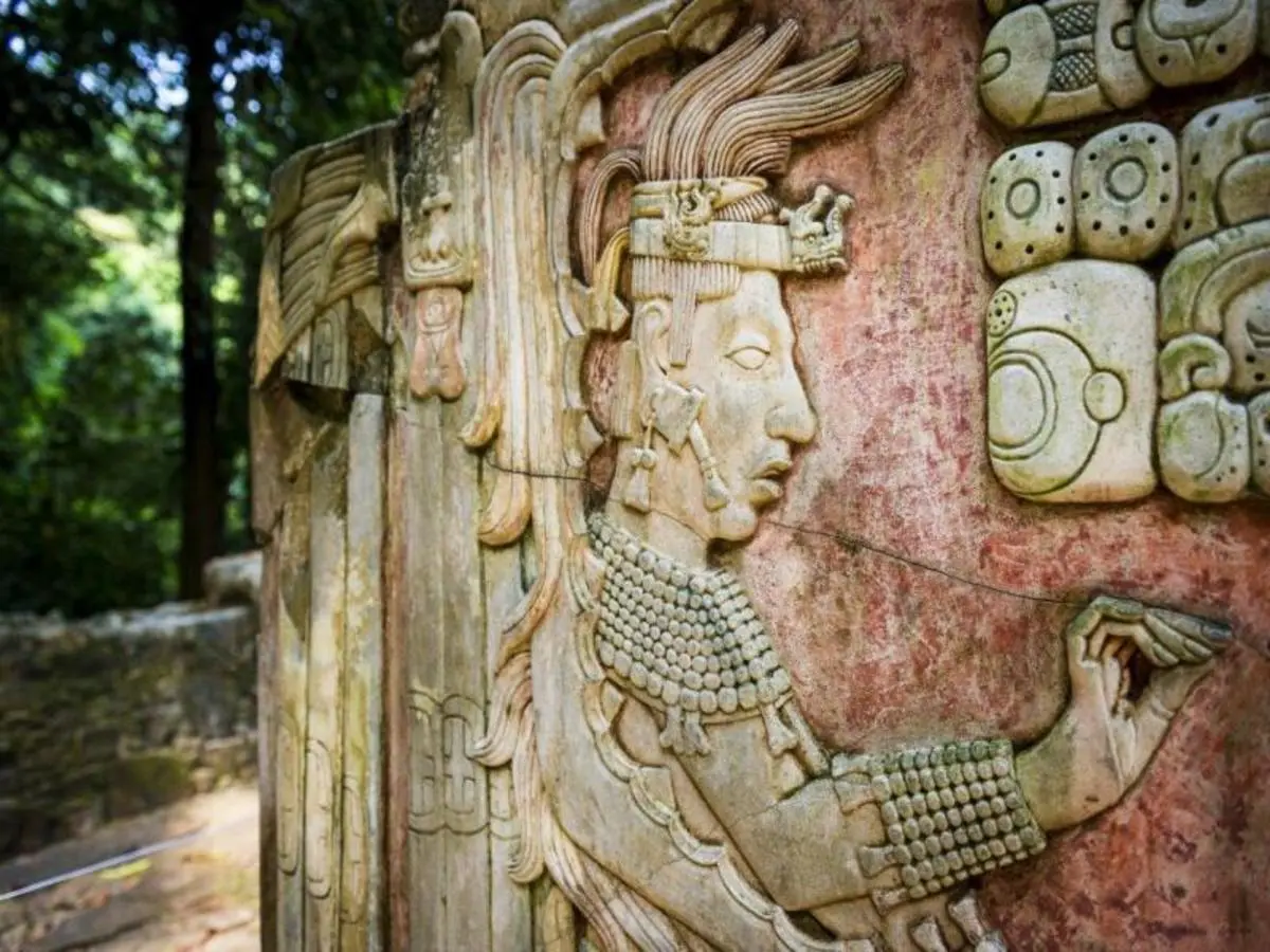 Chiapas Experience
