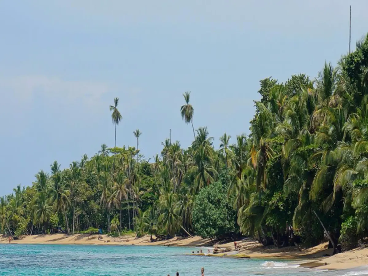 Volcanoes, Nature and Caribbean