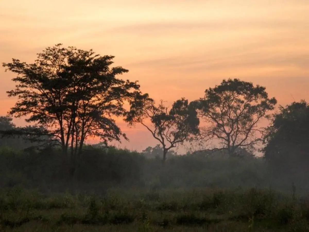 Splendors of Sri Lanka