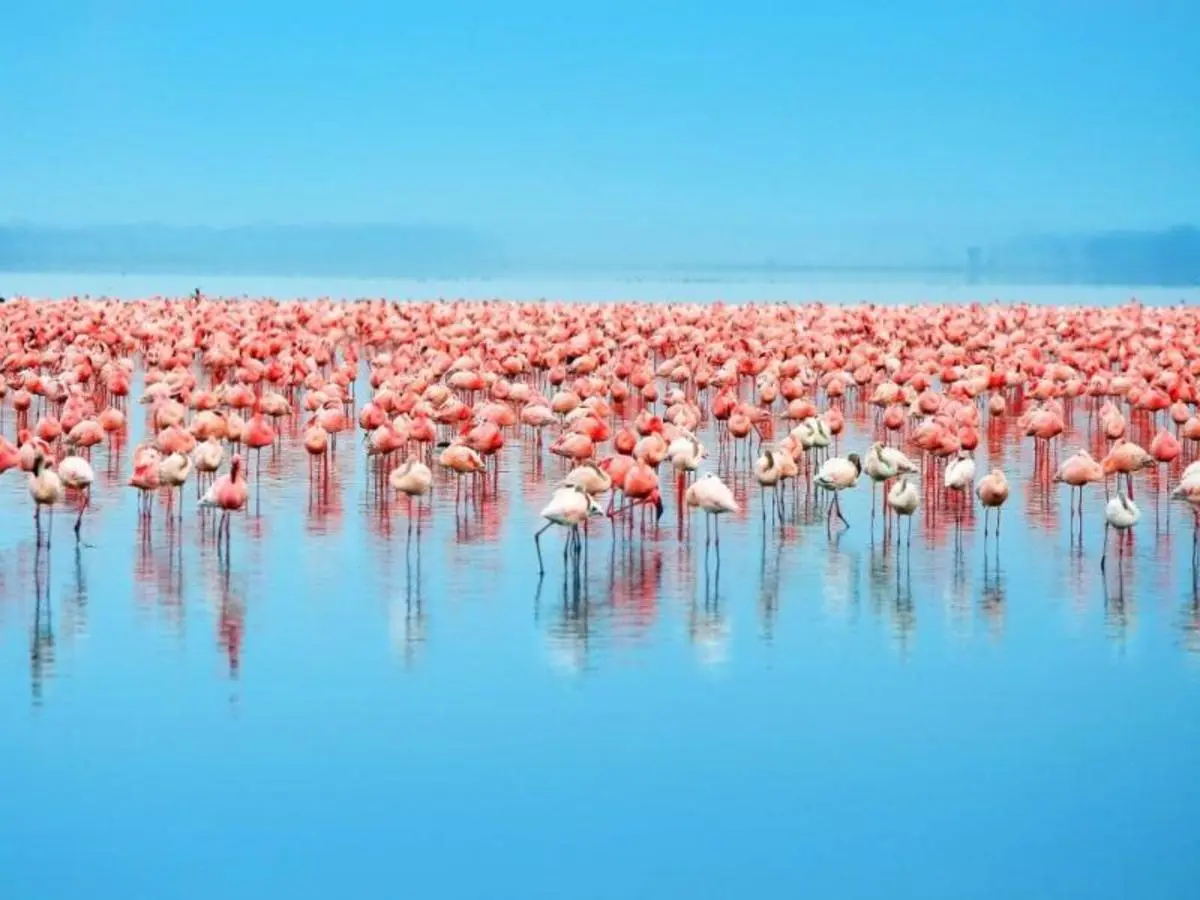 Lo más destacado de Kenia