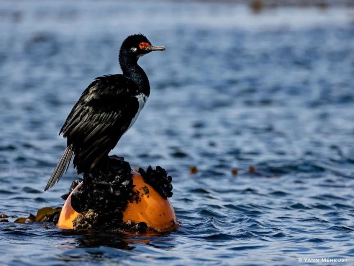 Aventura suave de 6 días en Ushuaia