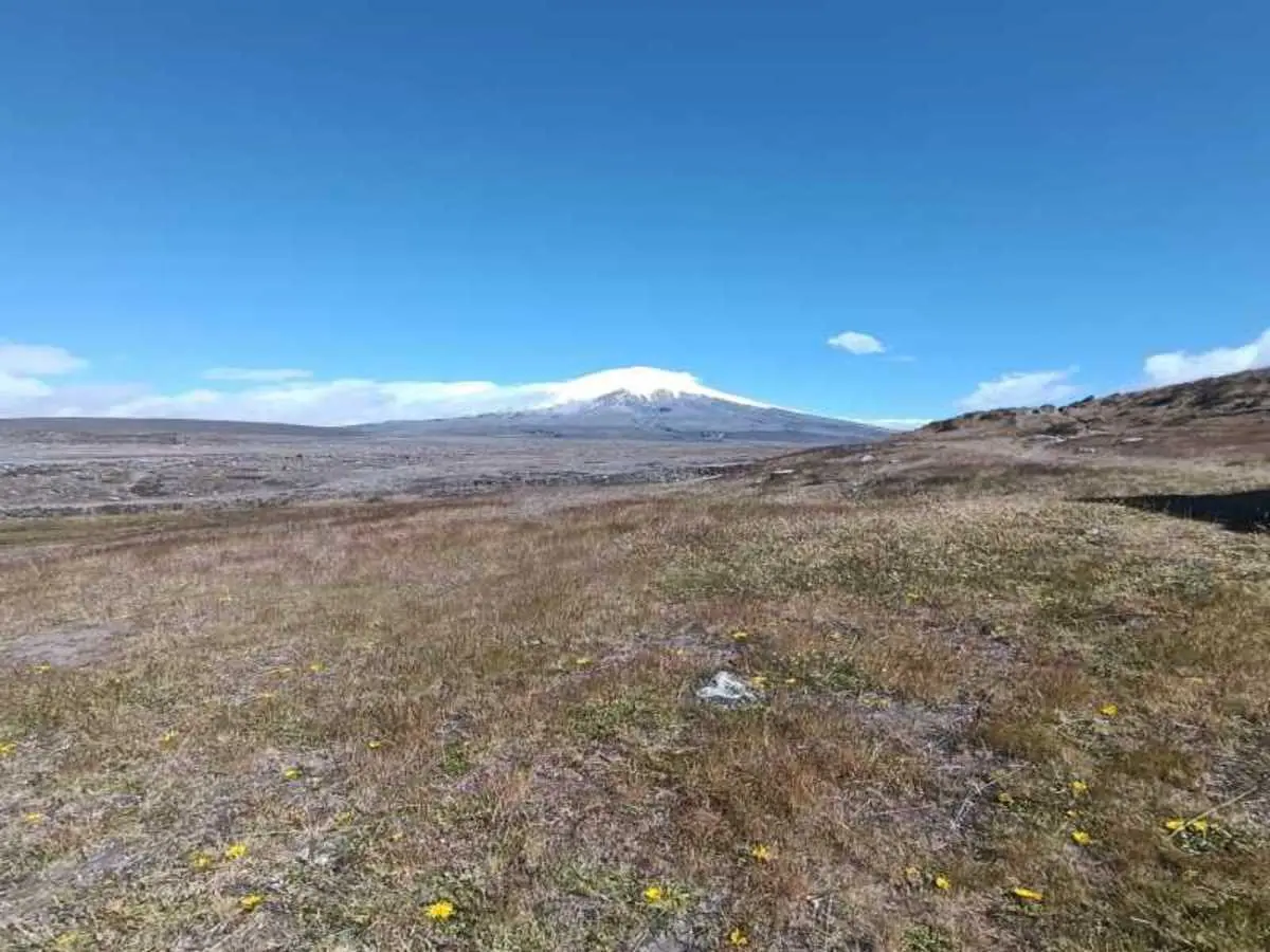 Il Meglio dell'Ecuador - Avenida dei Vulcani