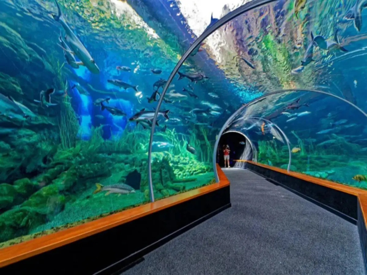 A Las Palmas, il paradiso è senza tempo