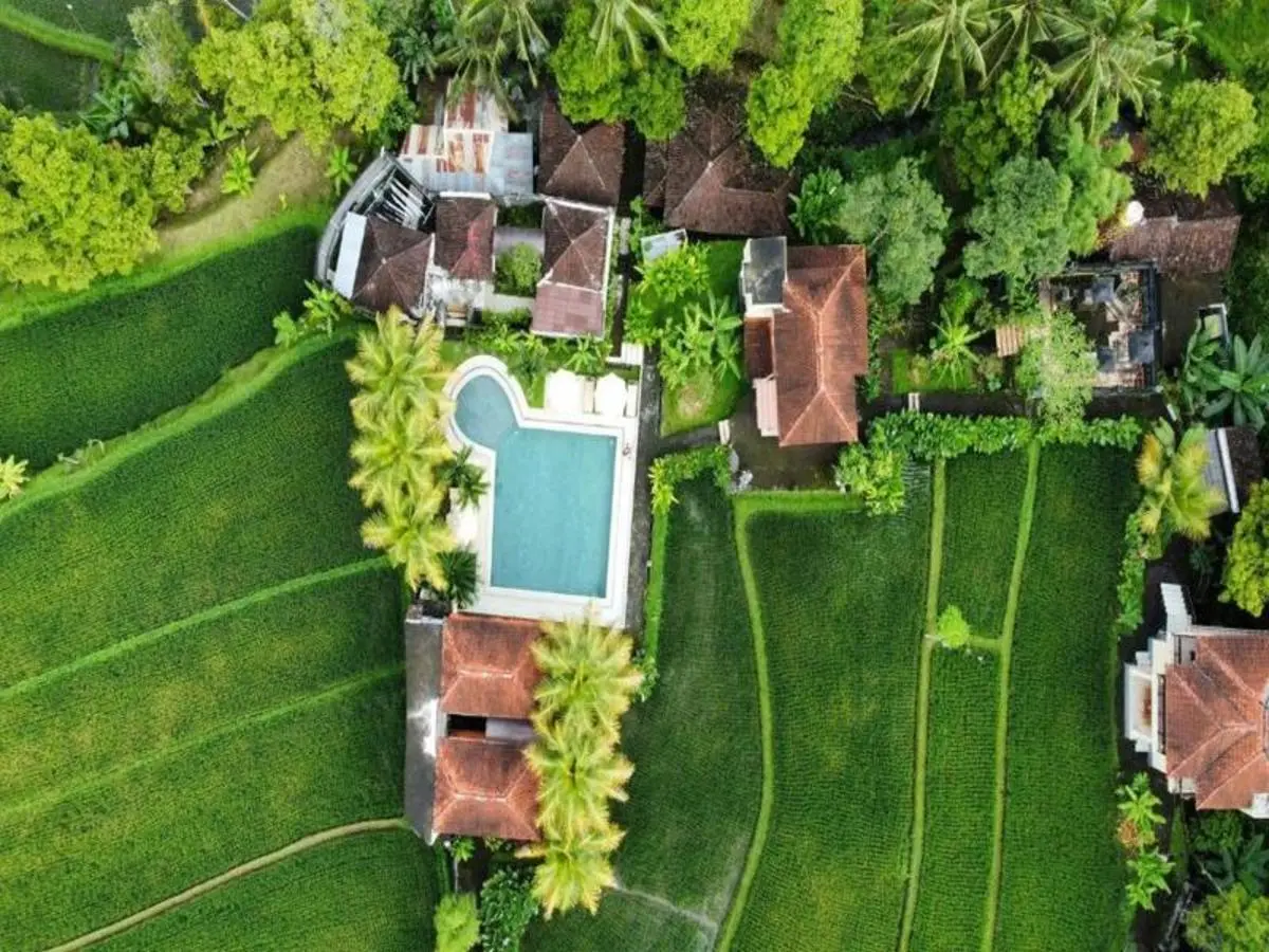 Indonésie Ancestrale : Bali & Komodo 3/4* USD