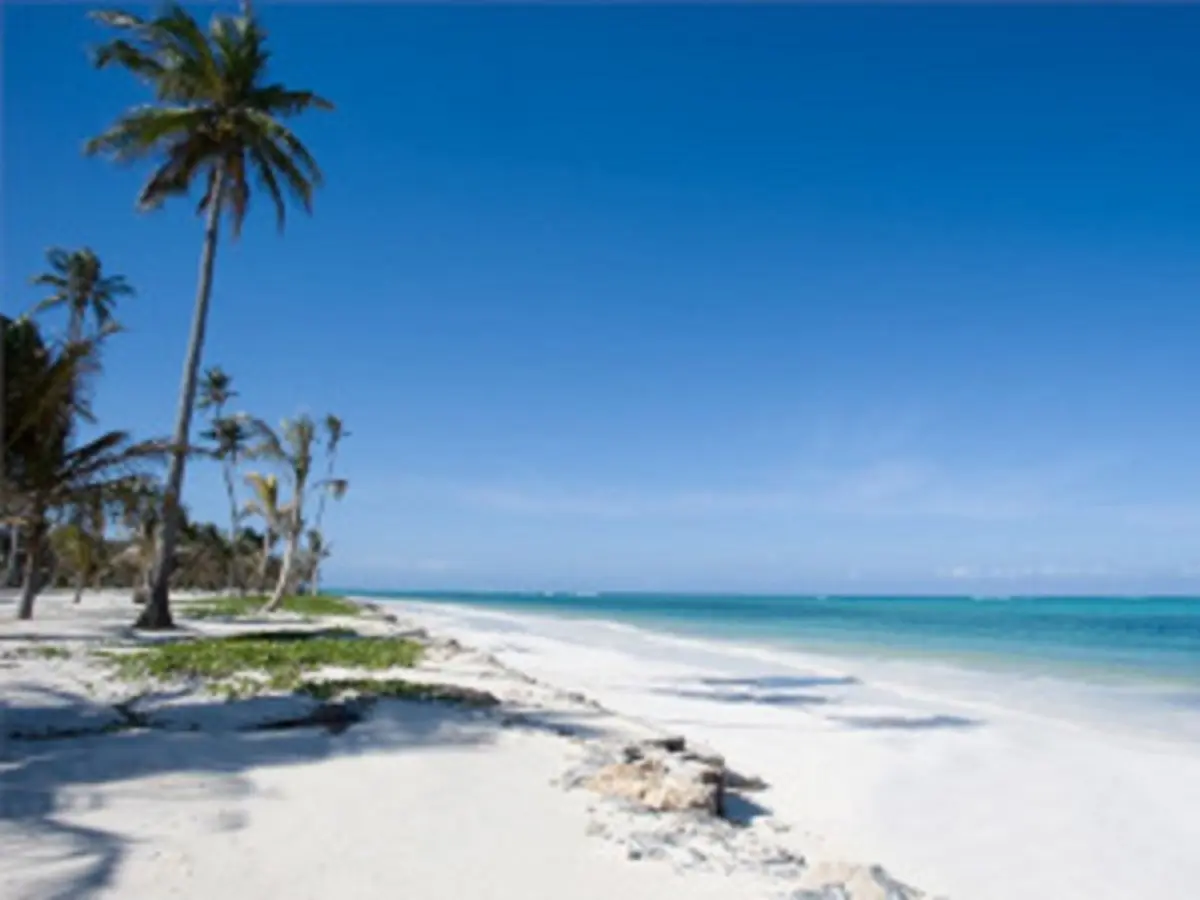 Sur Les Pistes de Tanzanie avec le Serengeti