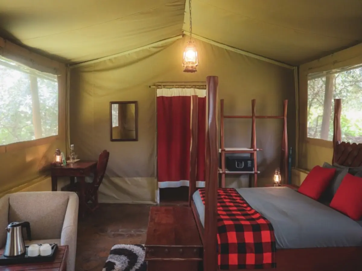 From Masai Mara To Diani Beach Safari