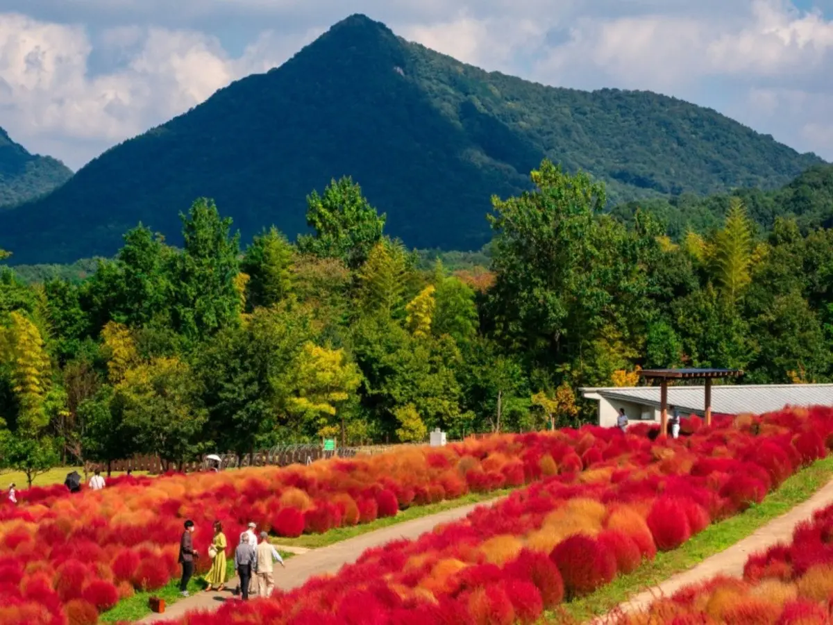 Autotour Japon : Incontournables & Terres Mystérieuses en 3*
