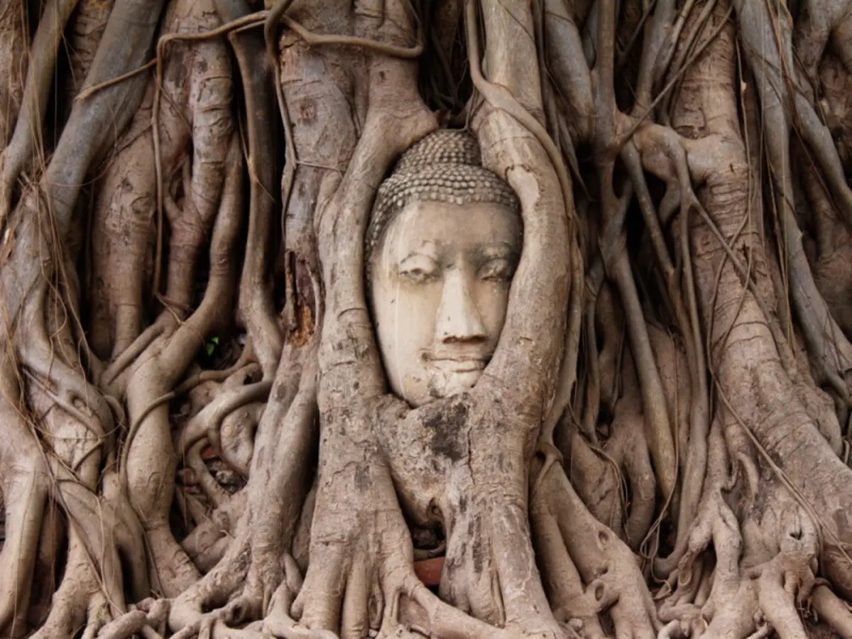 Perle di Thailandia 8G/7N (da Nov-Dic2024 a Gen 2025)