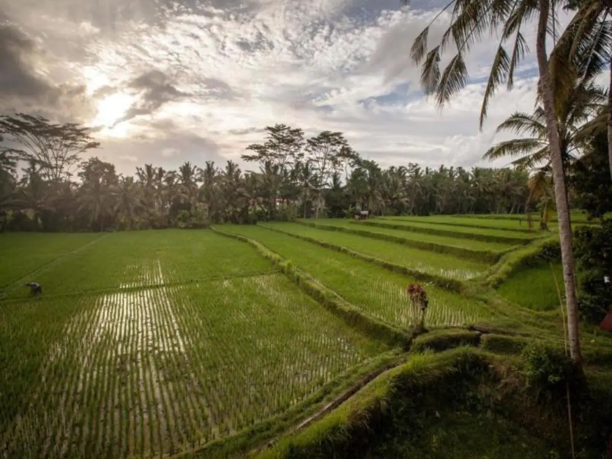 Duo 16 nuits Ubud, Seminyak 3* € : Junjungan Hotel and Spa & Bali Agung Village