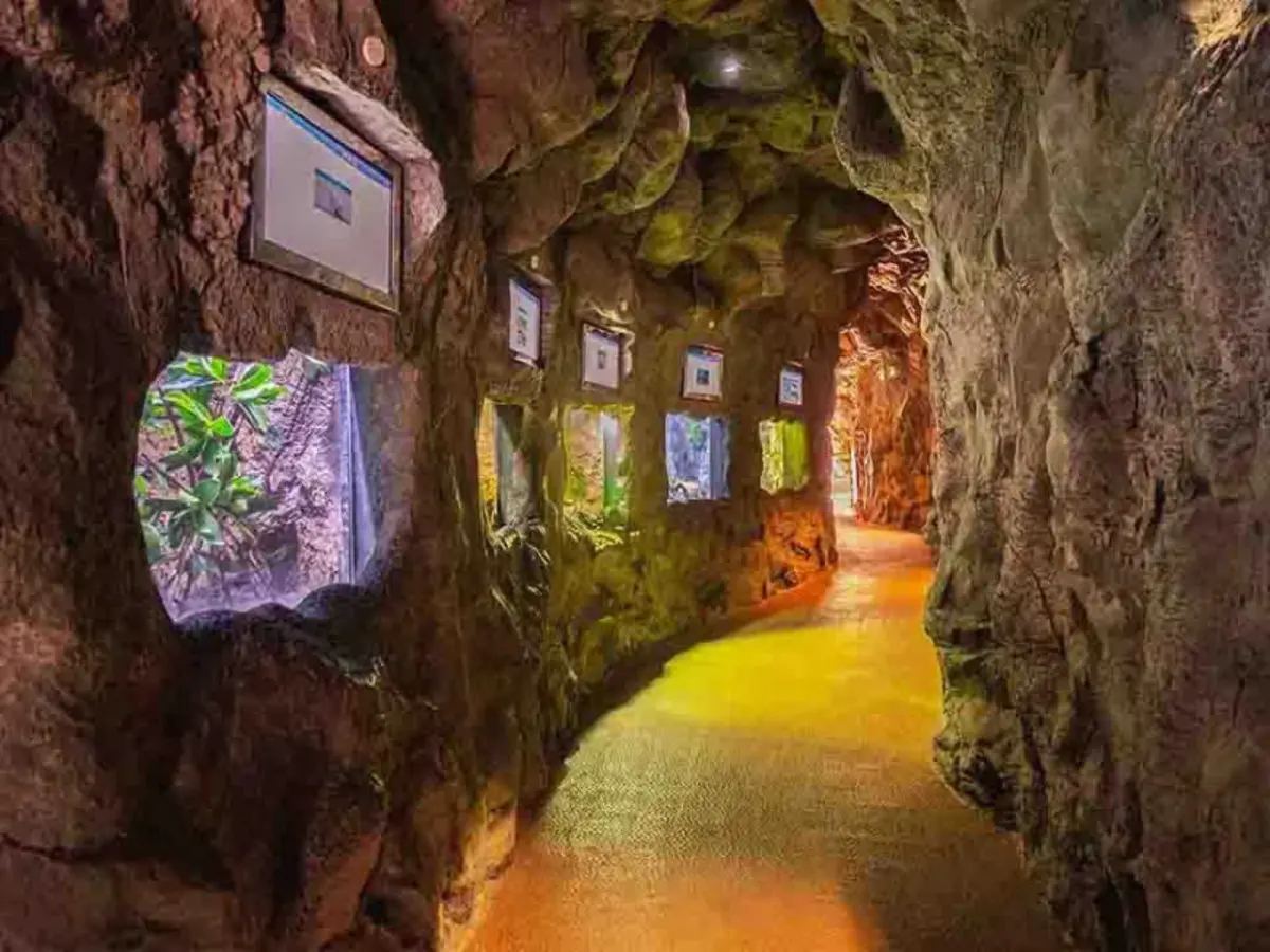 A Las Palmas, il paradiso è senza tempo