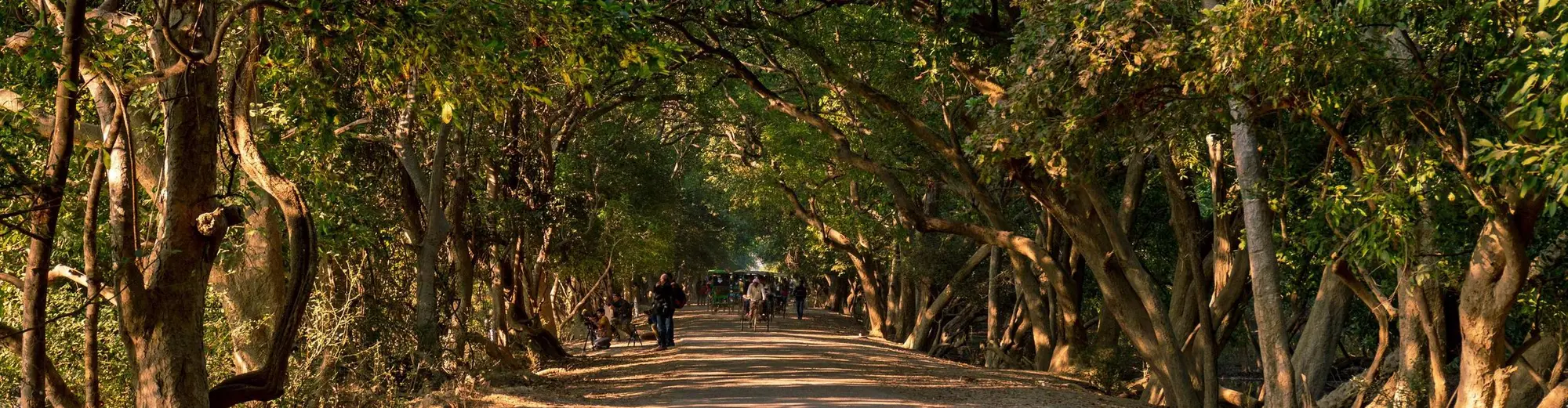 بهارات‌پور, هند